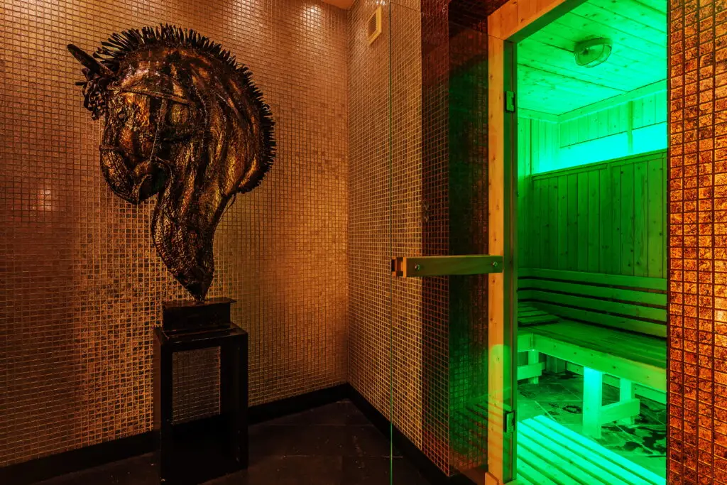 sen space sauna