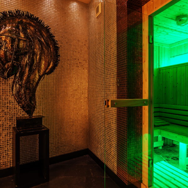 sen space sauna